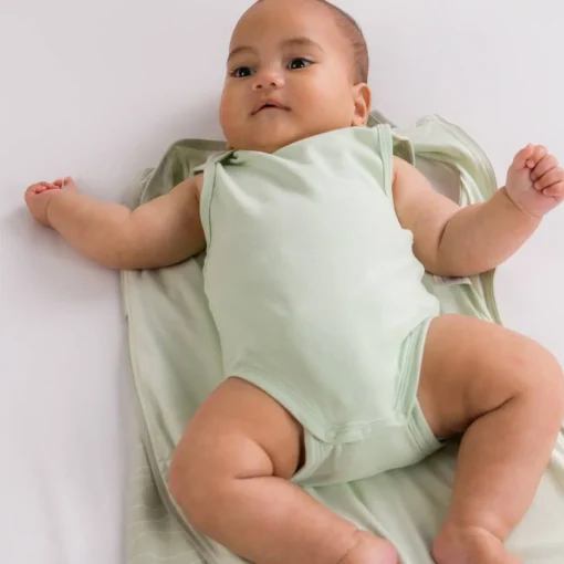 Baby Basics Organic Cotton Singletsuit
