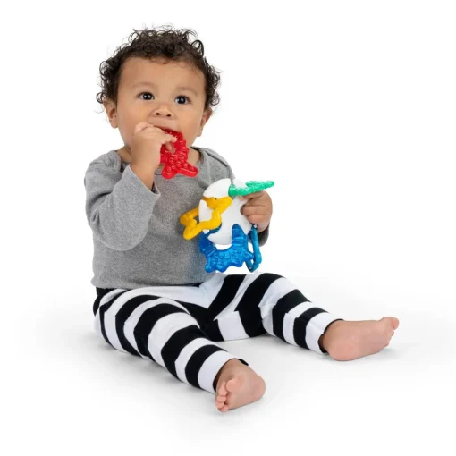 Baby Einstein Ocean Explorers Sea of Sensory Teether Toy