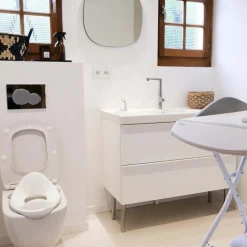 Beaba Toilet Training Seat