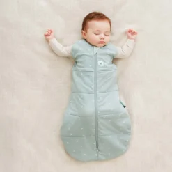 ergoPouch 2.5 tog Cocoon Swaddle Bag