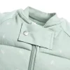 ergoPouch 2.5 tog Organic Sleep Suit Bag
