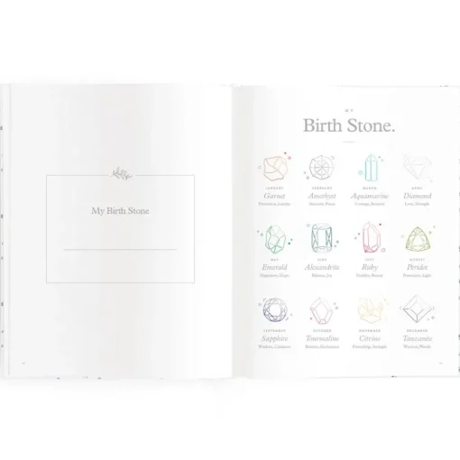 Fox & Fallow Baby Book