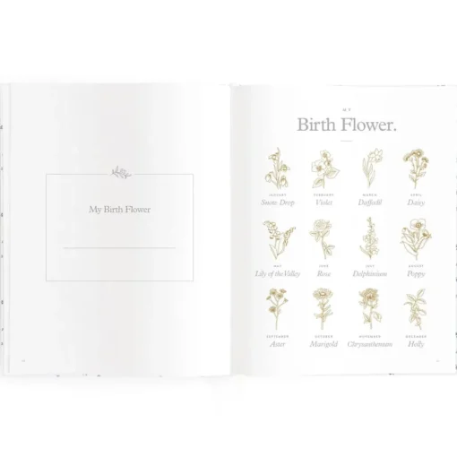 Fox & Fallow Baby Book