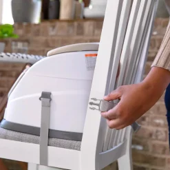 Ingenuity Baby Base 2-in-1 Seat