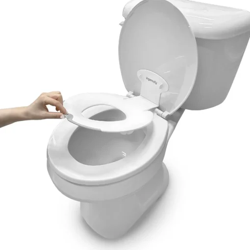 Ingenuity Flip & Sit Potty Seat