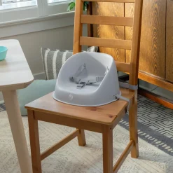 ity by Ingenuity My Spot Easy Clean Booster Seat