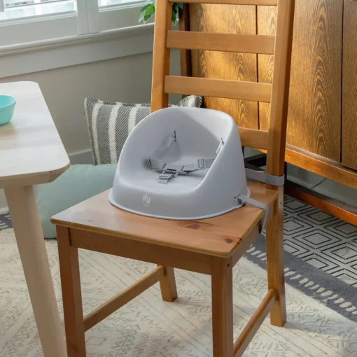 ity by Ingenuity My Spot Easy Clean Booster Seat