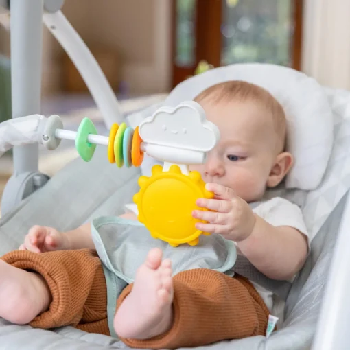 ity by Ingenuity Sun Valley Milestone Baby Swing