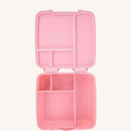 MontiiCo Feast Lunch Box