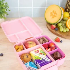 MontiiCo Feast Lunch Box