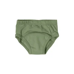 Snazzi Pants Organic Day Trainers